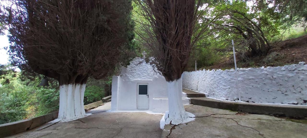 Traditional House In Asfendiou Villa Agios Dimitrios (Kos)