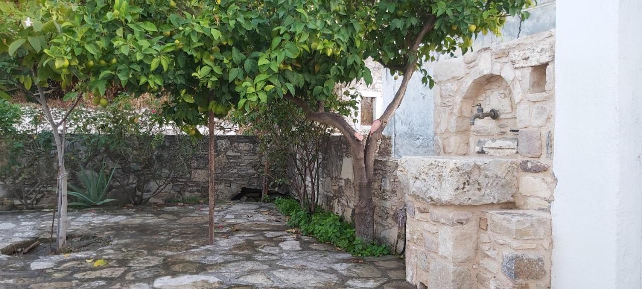 Villa Traditional House In Asfendiou Agios Dimitrios (Kos)