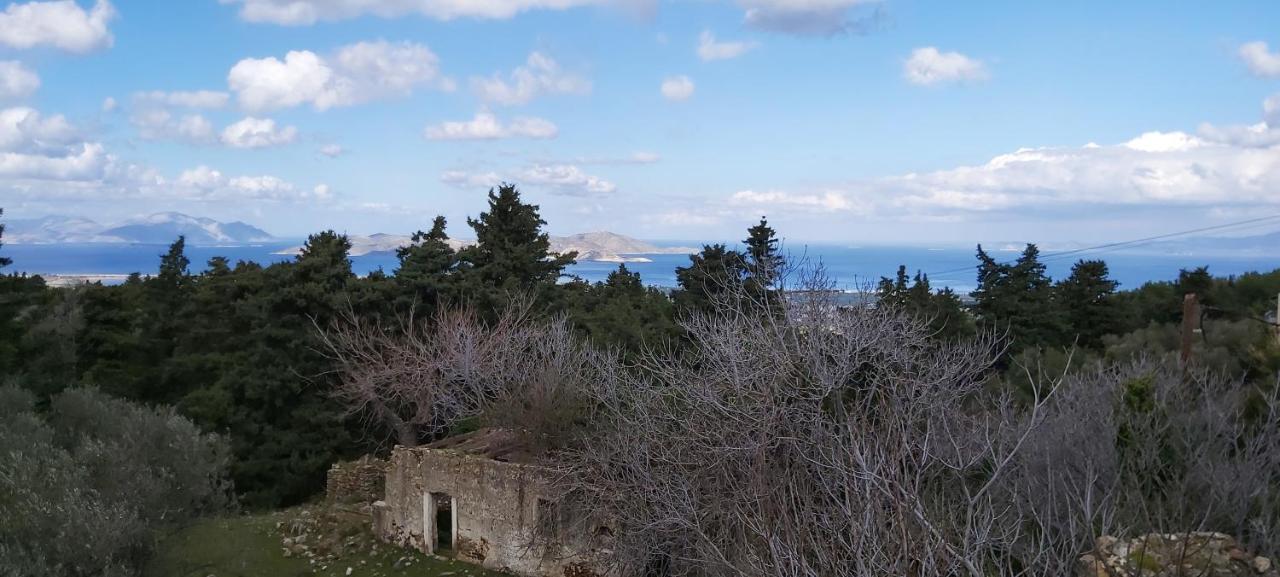 Traditional House In Asfendiou * Agios Dimitrios (Kos)